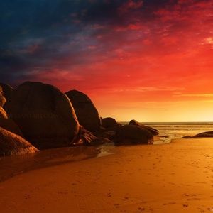 Meet your Posher, Steve